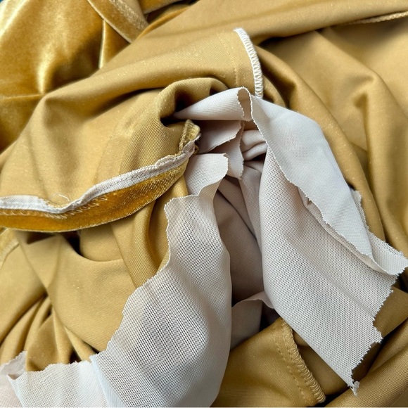 Jenny Yoo Gold Velvet Maxi Dress - Picture 12 of 12